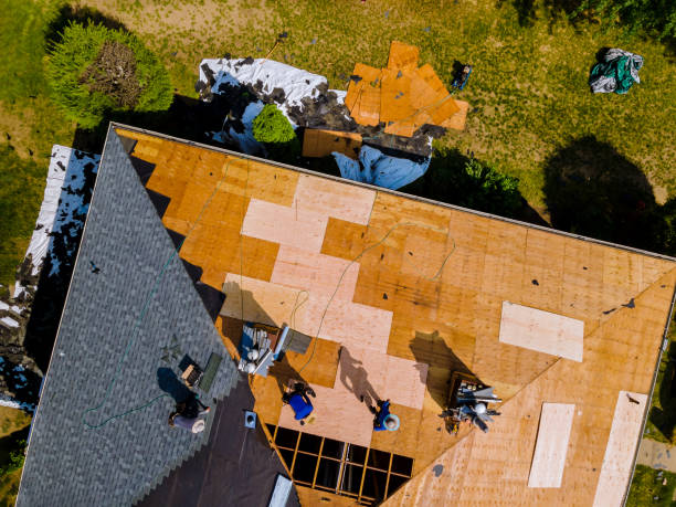 Best New Roof Installation  in Las Lomas, TX