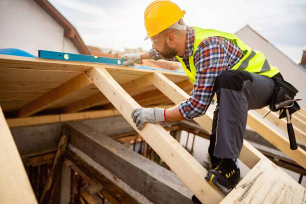 Best Roof Gutter Cleaning  in Las Lomas, TX